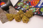 Malibu Strain