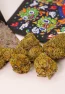 Malibu Strain