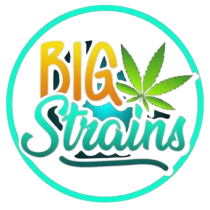 bigstrain420uk